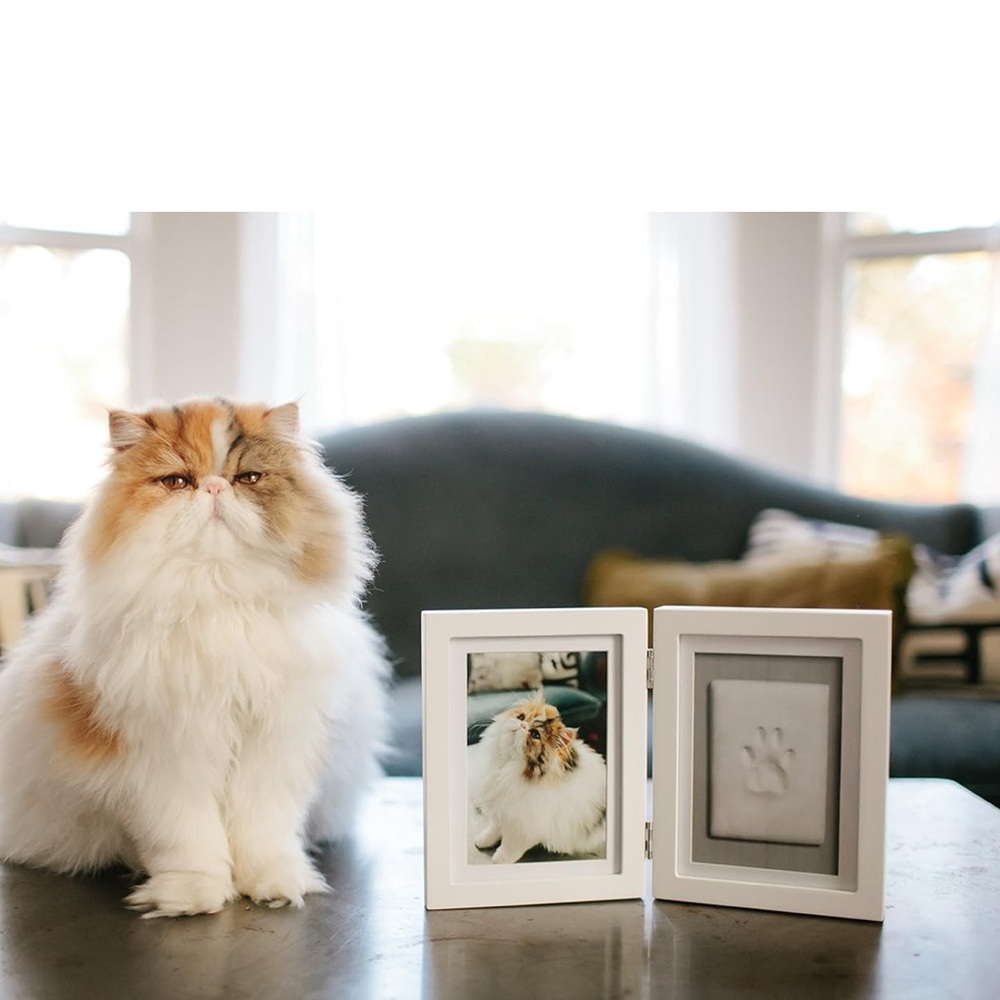 Memory Paw print Kit